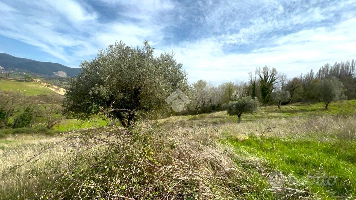 TER. AGRICOLO A CANTALUPO IN SABINA - Vista 3