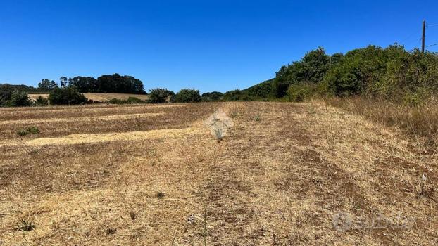 TER. AGRICOLO A TREVIGNANO ROMANO