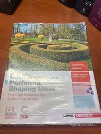 Performer Shaping Ideas 2