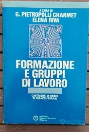 Formulazione e gruppi di lavoro - Pietropolli Char