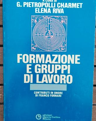 Formulazione e gruppi di lavoro - Pietropolli Char