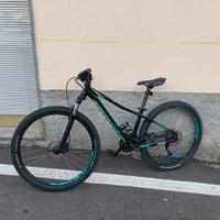 Specialized pitch 2018