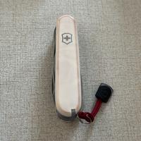 Victorinox