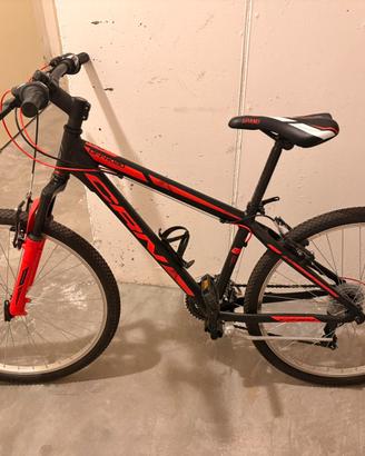 Mountain bike