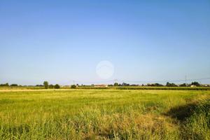 TER. AGRICOLO A BERNATE TICINO