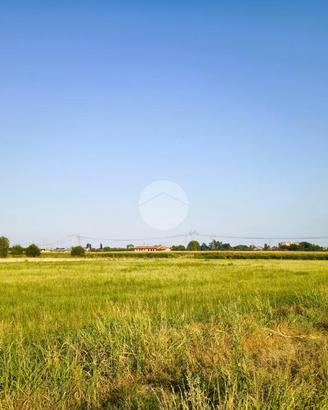 TER. AGRICOLO A BERNATE TICINO