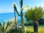 Immagine 10
