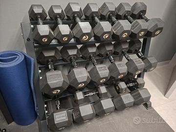 Set manubri esagonali 5–30 kg Lacertosus +