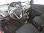 Immagine 6