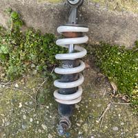 ammortizzatore posteriore