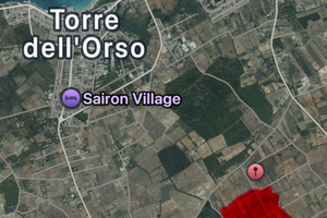 Terreno con ulivi e furnieddru