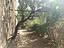 Immagine 26