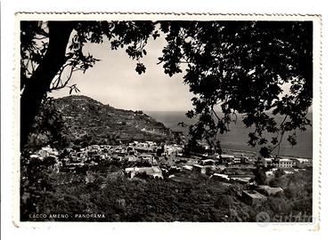 Cartolina Lacco Ameno Anni 50