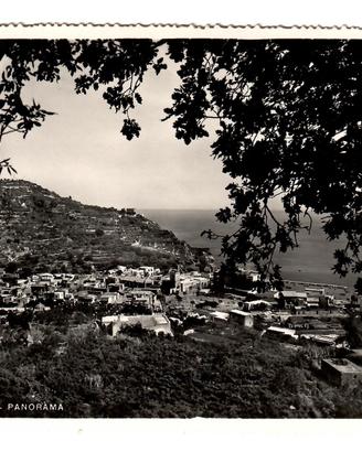 Cartolina Lacco Ameno Anni 50