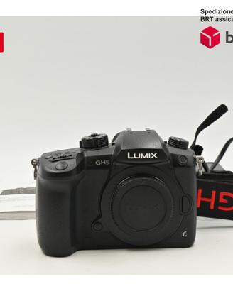 Panasonic Lumix G DC - GH5