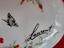 Immagine 5