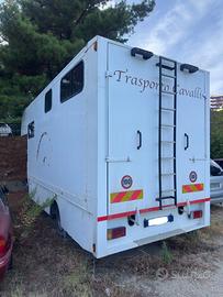 Van per trasporto cavalli  FIAT OM 60-10 living