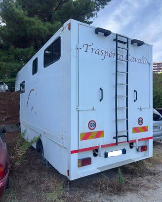 Van per trasporto cavalli  FIAT OM 60-10 living