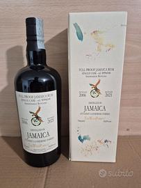 jamaica wild parrot 2021