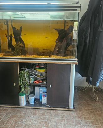 acquario 400 litri