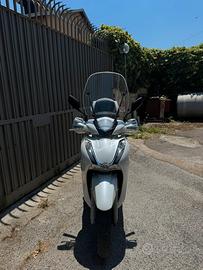 SH 350 targa polacca