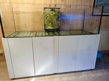 acquario marino 800lt