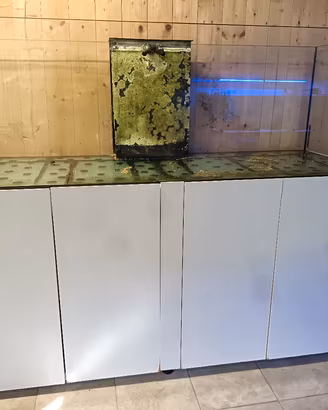 acquario marino 800lt