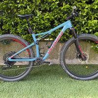 Specialized epic expert carbon taglia M