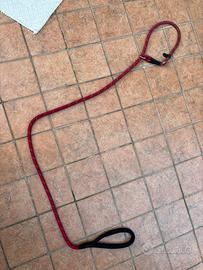 Guinzaglio per cane