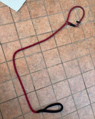 Guinzaglio per cane