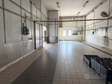 Rif.4960| capannone venezia