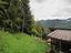 Immagine 12