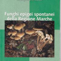 Funghi epigei spontanei