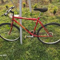 bicicletta da uomo 