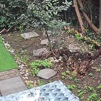 BICICLETA ELETTRICA 400 W