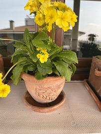 Vasetto in terracotta