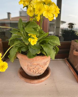 Vasetto in terracotta