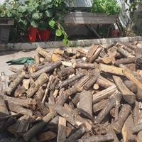 Legna secca di bosco