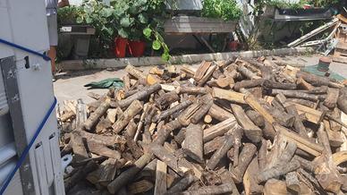 Legna secca di bosco