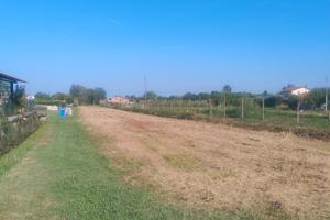 Terreno a Massarosa