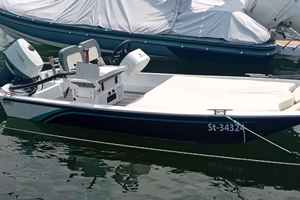 Barca Usata-Boston Whaler 15