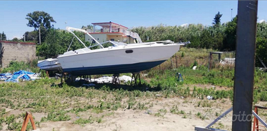 Barca Fiart Arrow 7.60 fuori tutto