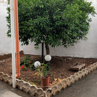 Casa vac