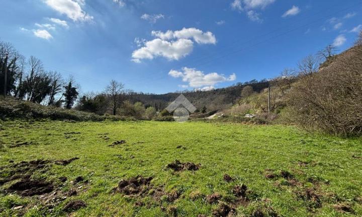 TER. AGRICOLO A CASTELNUOVO DI PORTO