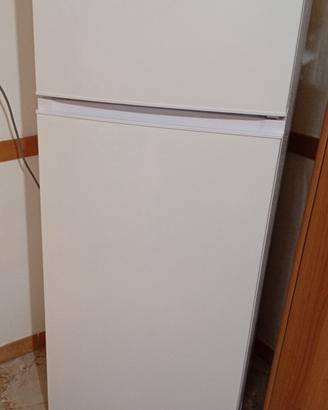 frigo