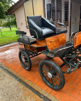 Carrozza modello Maratona