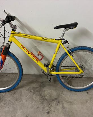 Bicicletta MTB
