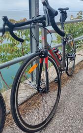 Bicicletta wilier Triestina Montegrappa L.