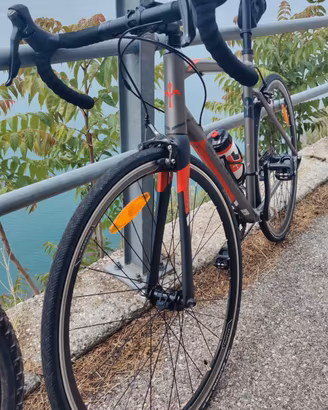 Bicicletta wilier Triestina Montegrappa L.
