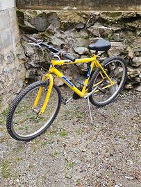 Bicicletta 26"